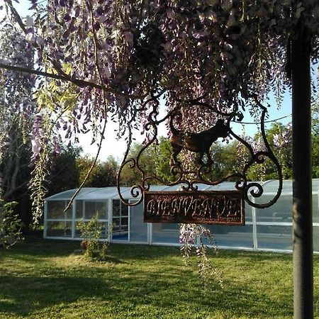 アテ・シュル・シェール La Ferme Du Bien Etre Bed & Breakfast エクステリア 写真